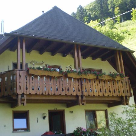 شقة Haus Am Bach فرايبورغ المظهر الخارجي الصورة