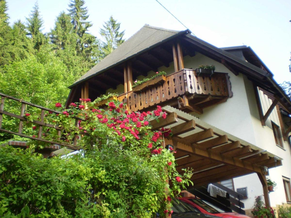 شقة Haus Am Bach فرايبورغ المظهر الخارجي الصورة
